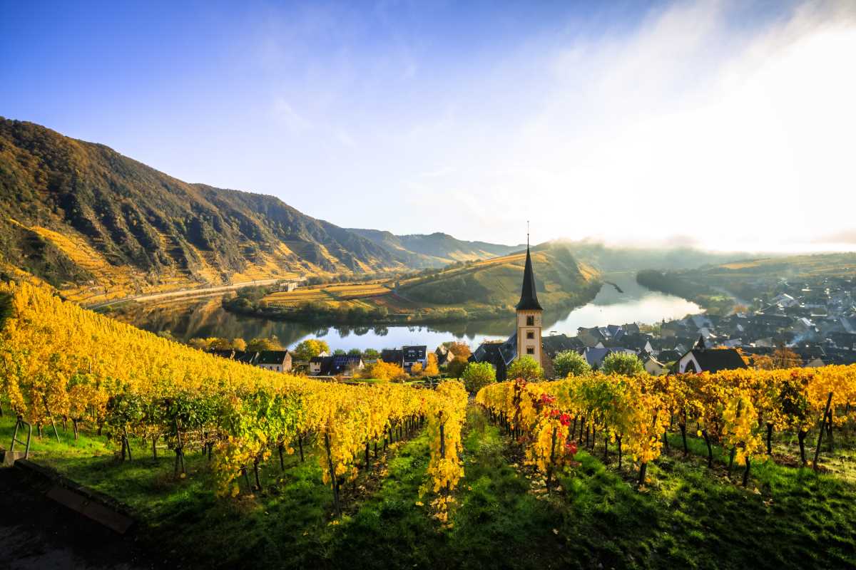 Uncover the Hidden Gems: Wine Regions of Lesser-Known European Towns 